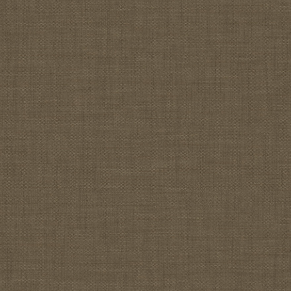 Modern Euro - Biscotto