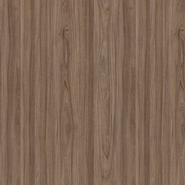 Modern Euro - Olmo Café