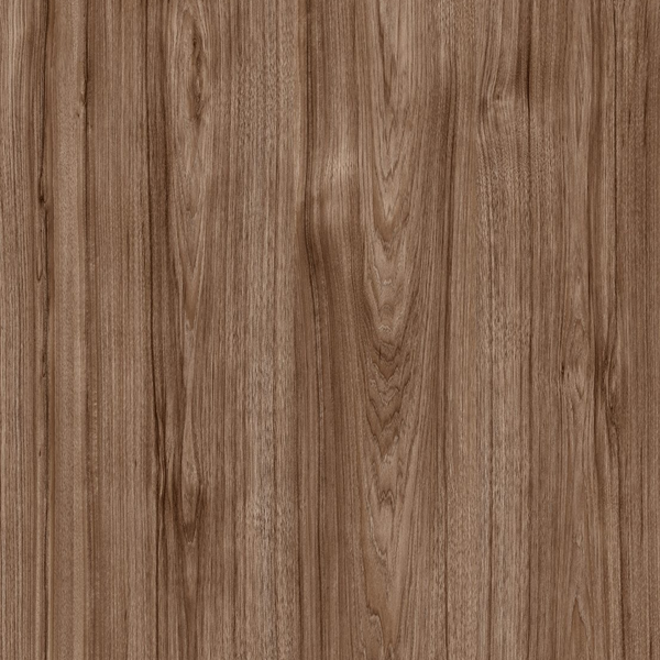 Modern Euro - Pecan Gold