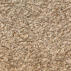 Granite - Saint Cecelia